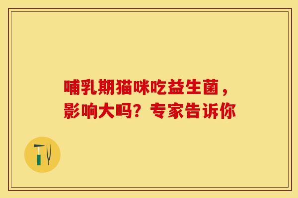 哺乳期猫咪吃益生菌，影响大吗？专家告诉你