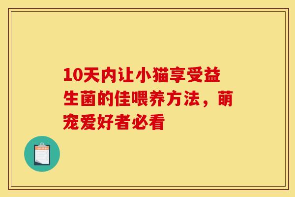 10天内让小猫享受益生菌的佳喂养方法，萌宠爱好者必看