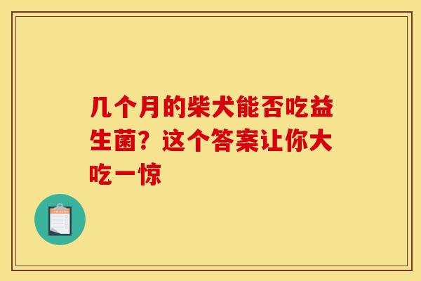 几个月的柴犬能否吃益生菌？这个答案让你大吃一惊