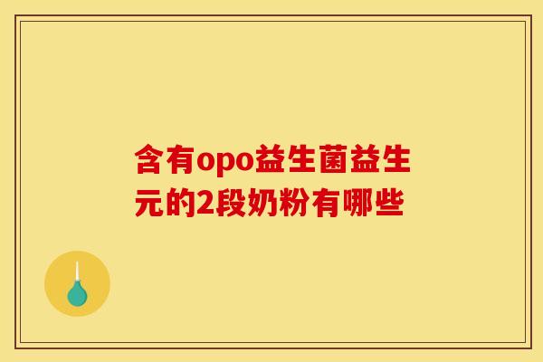 含有opo益生菌益生元的2段奶粉有哪些