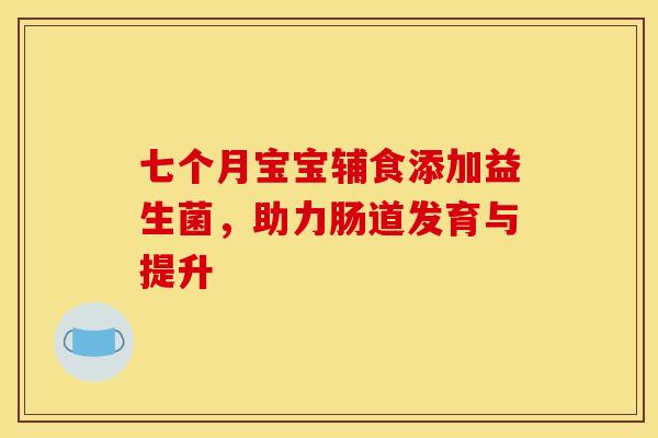 七个月宝宝辅食添加益生菌，助力肠道发育与提升
