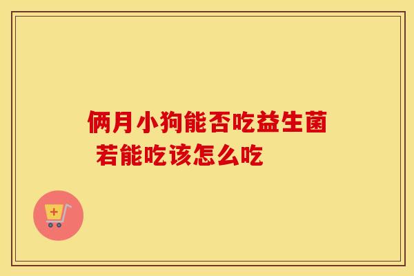 俩月小狗能否吃益生菌 若能吃该怎么吃