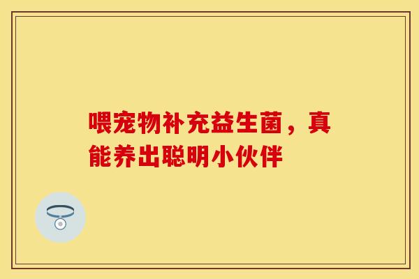 喂宠物补充益生菌，真能养出聪明小伙伴