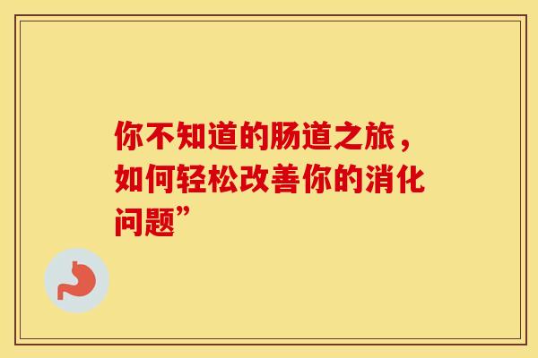 你不知道的肠道之旅，如何轻松改善你的消化问题”