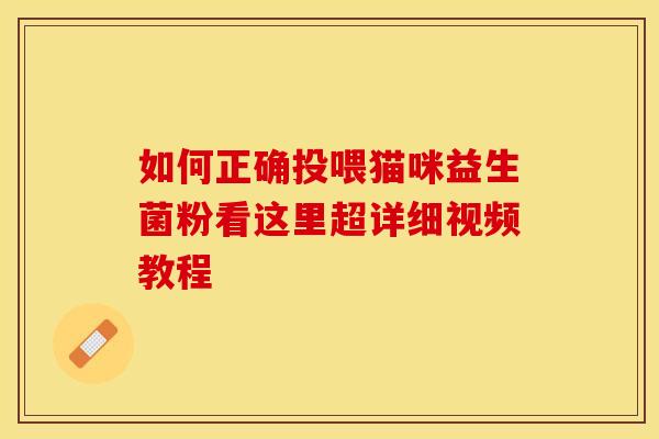 如何正确投喂猫咪益生菌粉看这里超详细视频教程