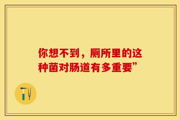 你想不到，厕所里的这种菌对肠道有多重要”
