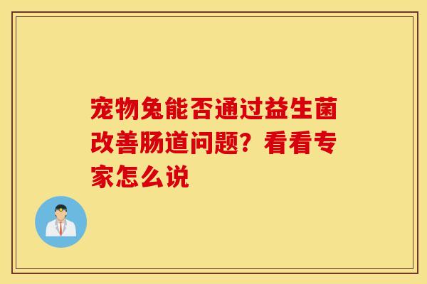 宠物兔能否通过益生菌改善肠道问题？看看专家怎么说