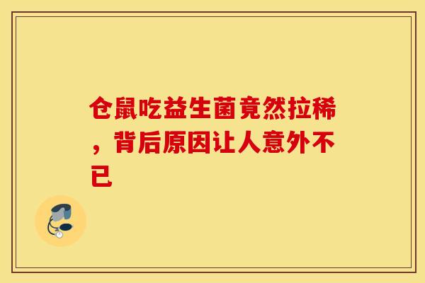 仓鼠吃益生菌竟然拉稀，背后原因让人意外不已