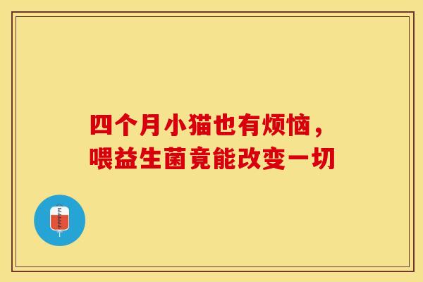四个月小猫也有烦恼，喂益生菌竟能改变一切