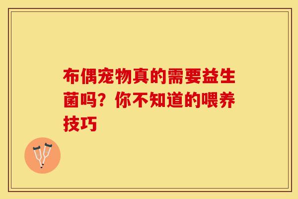 布偶宠物真的需要益生菌吗？你不知道的喂养技巧