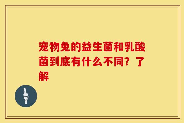 宠物兔的益生菌和乳酸菌到底有什么不同？了解
