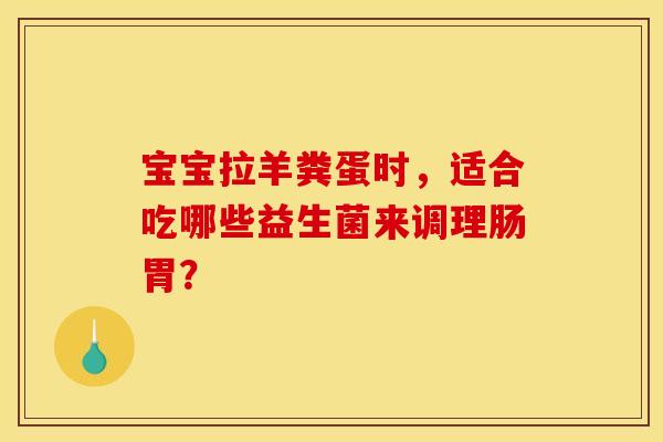 宝宝拉羊粪蛋时，适合吃哪些益生菌来调理肠胃？