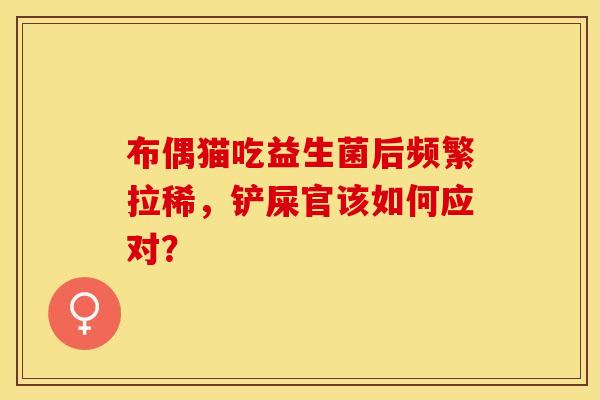 布偶猫吃益生菌后频繁拉稀，铲屎官该如何应对？