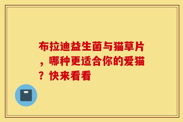 布拉迪益生菌与猫草片，哪种更适合你的爱猫？快来看看