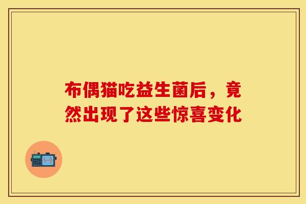 布偶猫吃益生菌后，竟然出现了这些惊喜变化