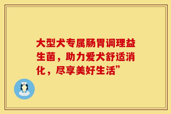 大型犬专属肠胃调理益生菌，助力爱犬舒适消化，尽享美好生活”