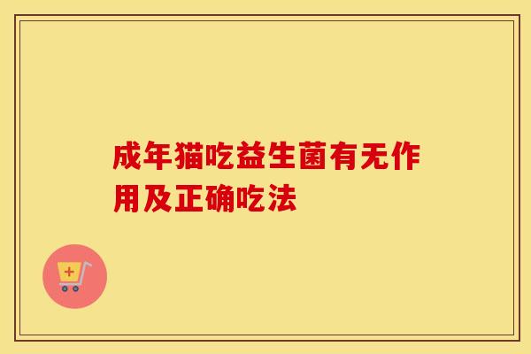 成年猫吃益生菌有无作用及正确吃法