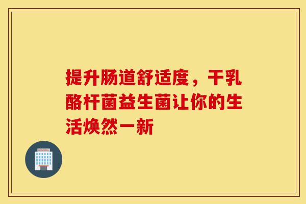 提升肠道舒适度，干乳酪杆菌益生菌让你的生活焕然一新
