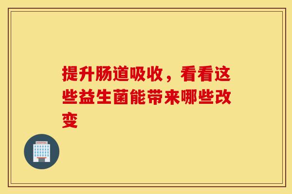 提升肠道吸收，看看这些益生菌能带来哪些改变