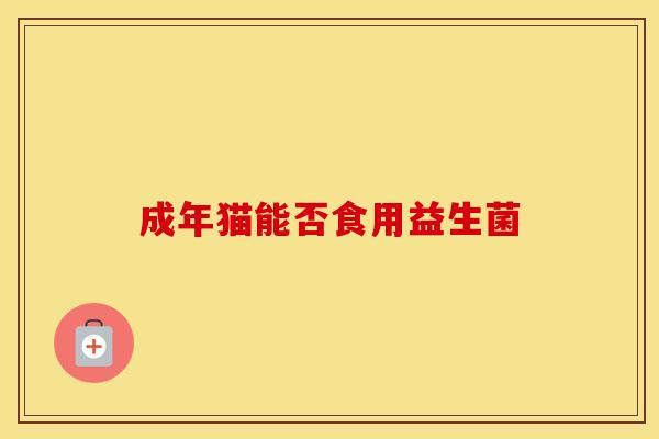 成年猫能否食用益生菌
