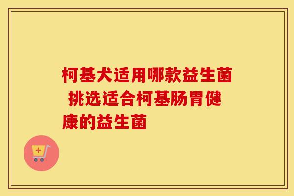 柯基犬适用哪款益生菌 挑选适合柯基肠胃健康的益生菌