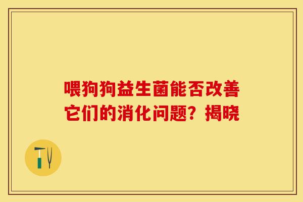 喂狗狗益生菌能否改善它们的消化问题？揭晓