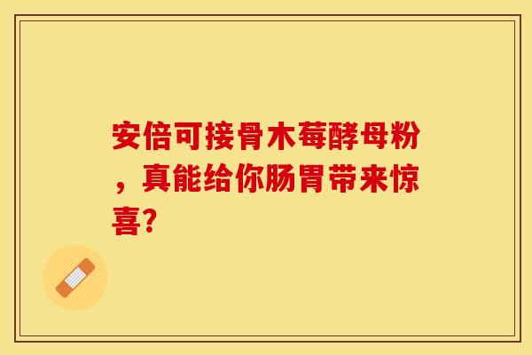 安倍可接骨木莓酵母粉，真能给你肠胃带来惊喜？