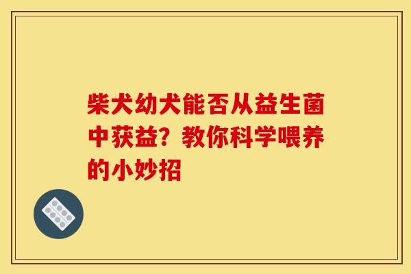柴犬幼犬能否从益生菌中获益？教你科学喂养的小妙招
