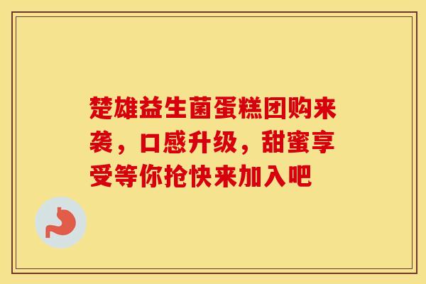 楚雄益生菌蛋糕团购来袭，口感升级，甜蜜享受等你抢快来加入吧