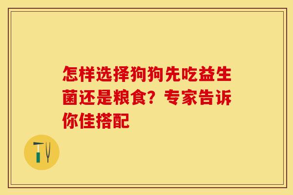 怎样选择狗狗先吃益生菌还是粮食?专家告诉你佳搭配 怎样选择狗狗先吃益生菌还是粮食?专家告诉你佳搭配
