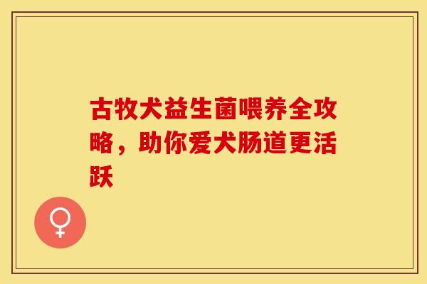 古牧犬益生菌喂养全攻略,助你爱犬肠道更活跃 古牧犬益生菌喂养全攻略,助你爱犬肠道更活跃