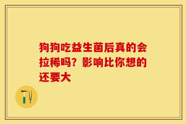 狗狗吃益生菌后真的会拉稀吗？影响比你想的还要大
