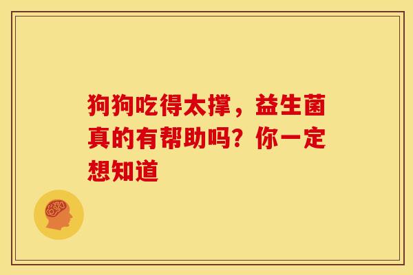 狗狗吃得太撑，益生菌真的有帮助吗？你一定想知道