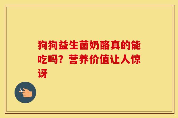 狗狗益生菌奶酪真的能吃吗？营养价值让人惊讶