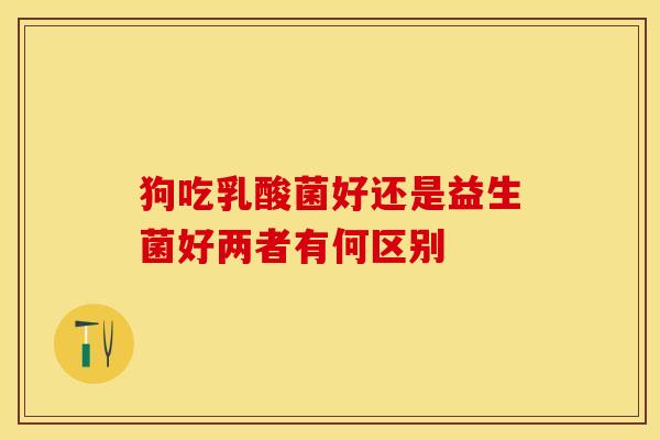 狗吃乳酸菌好还是益生菌好两者有何区别