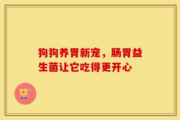 狗狗养胃新宠，肠胃益生菌让它吃得更开心