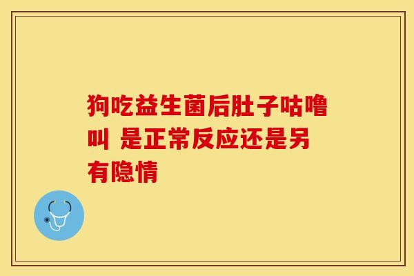 狗吃益生菌后肚子咕噜叫 是正常反应还是另有隐情