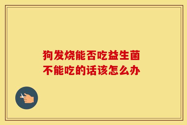 狗发烧能否吃益生菌 不能吃的话该怎么办