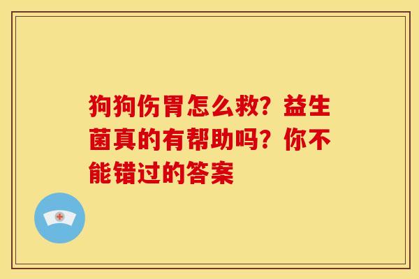 狗狗伤胃怎么救?益生菌真的有帮助吗?你不能错过的答案 狗狗伤胃怎么救?益生菌真的有帮助吗?你不能错过的答案