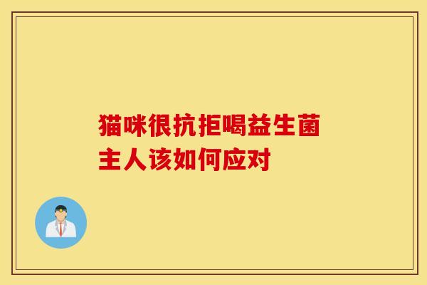 猫咪很抗拒喝益生菌 主人该如何应对
