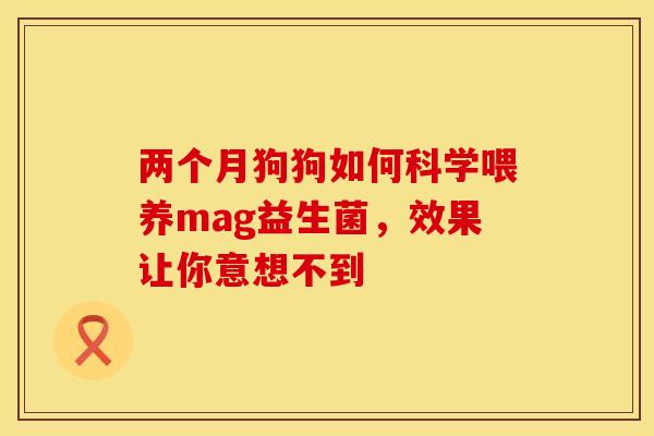 两个月狗狗如何科学喂养mag益生菌,效果让你意想不到 两个月狗狗如何科学喂养mag益生菌,效果让你意想不到