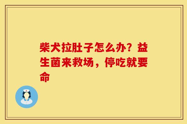 柴犬拉肚子怎么办？益生菌来救场，停吃就要命