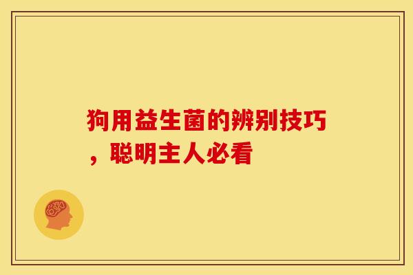 狗用益生菌的辨别技巧，聪明主人必看