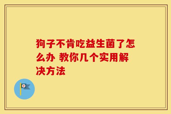 狗子不肯吃益生菌了怎么办 教你几个实用解决方法