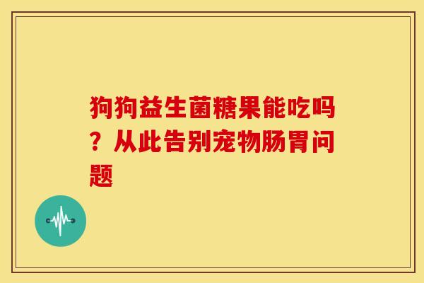 狗狗益生菌糖果能吃吗？从此告别宠物肠胃问题