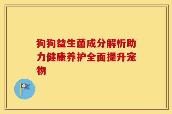 狗狗益生菌成分解析助力健康养护全面提升宠物
