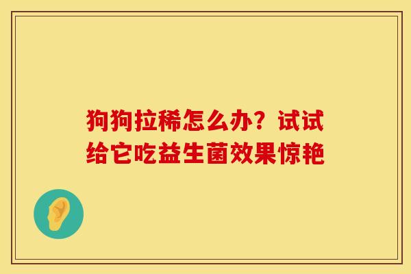 狗狗拉稀怎么办？试试给它吃益生菌效果惊艳