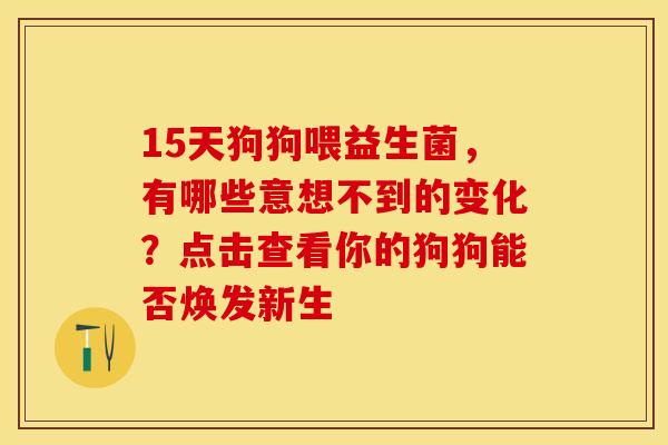 15天狗狗喂益生菌，有哪些意想不到的变化？点击查看你的狗狗能否焕发新生