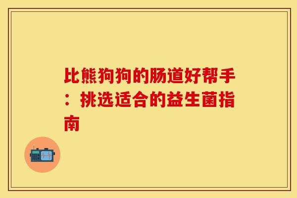 比熊狗狗的肠道好帮手：挑选适合的益生菌指南