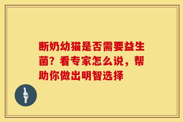 断奶幼猫是否需要益生菌？看专家怎么说，帮助你做出明智选择